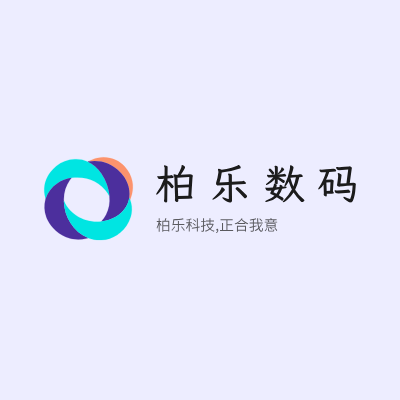 柏乐数码LOGO模板
