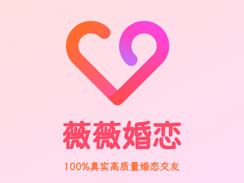 薇薇婚恋LOGO模板