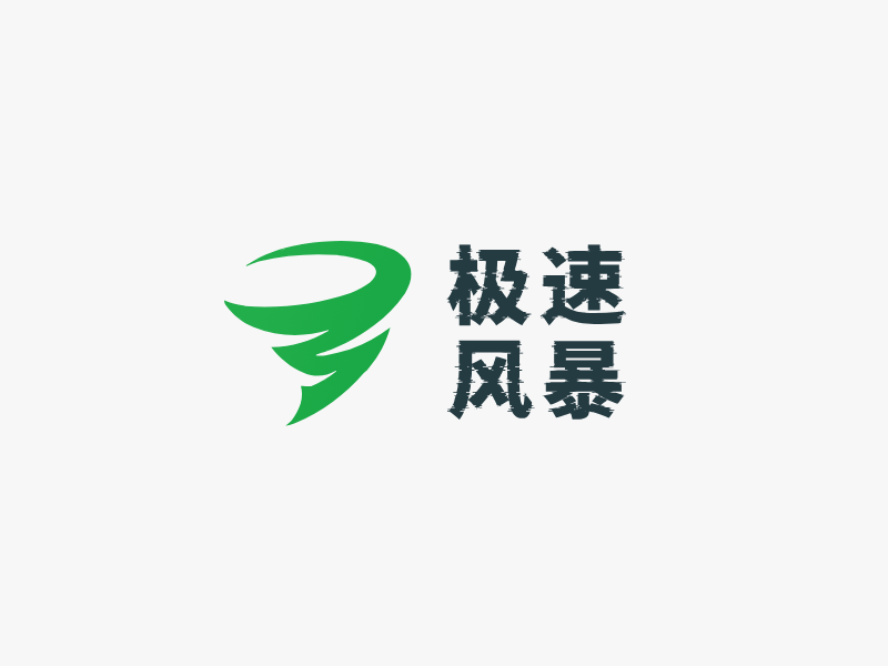 极速
风暴LOGO模板