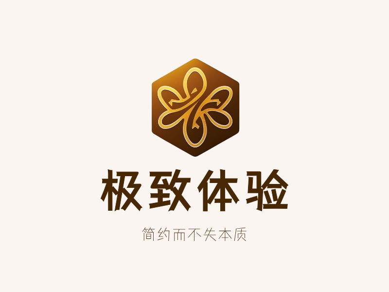 极致体验LOGO模板