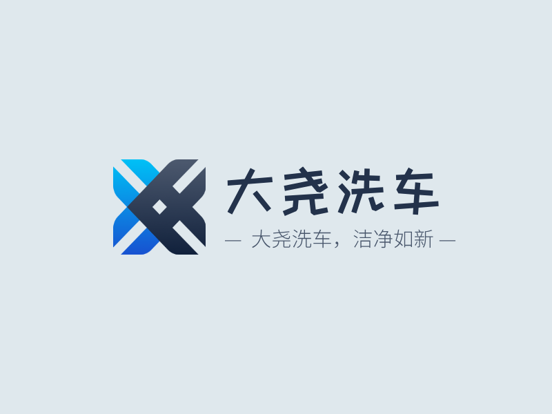 大尧洗车LOGO模板