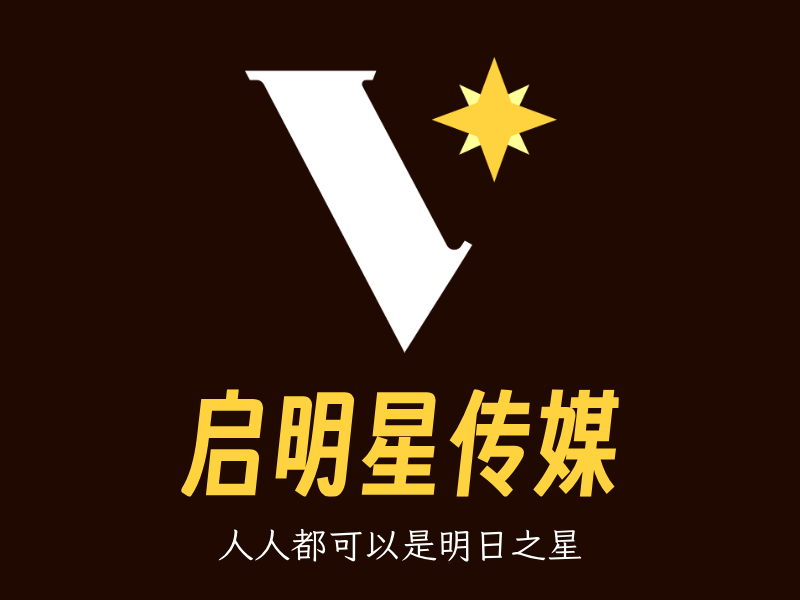 启明星传媒LOGO模板