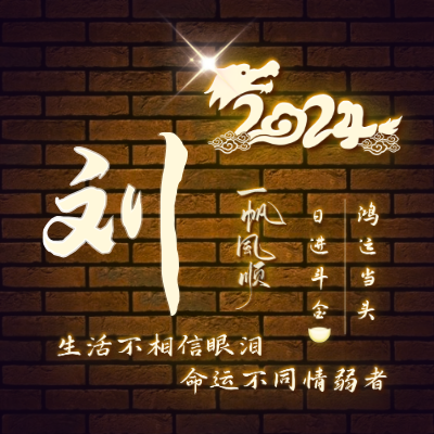 刘LOGO模板