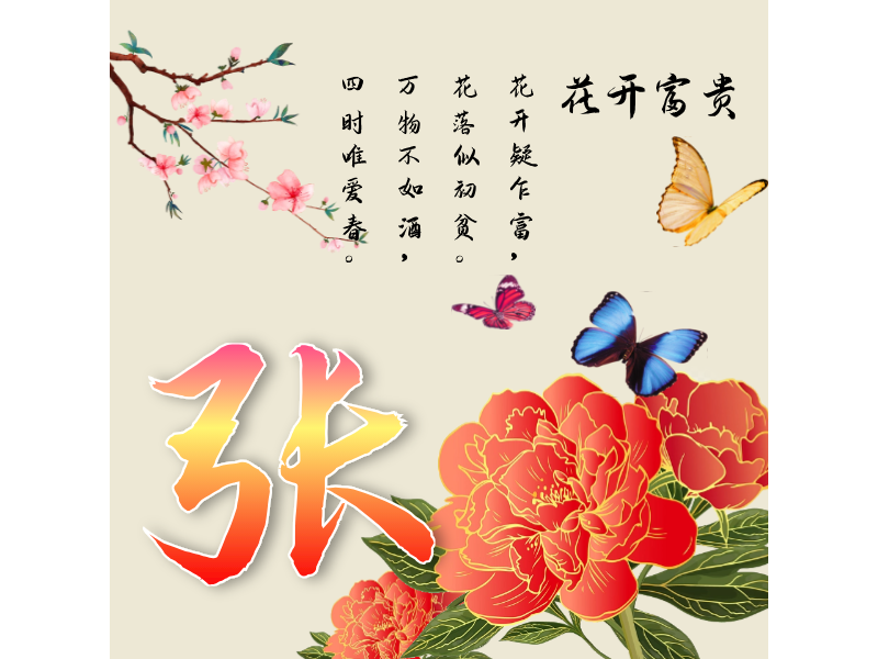张LOGO模板