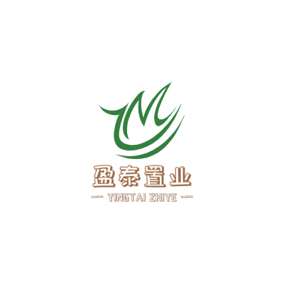 盈泰置业LOGO模板