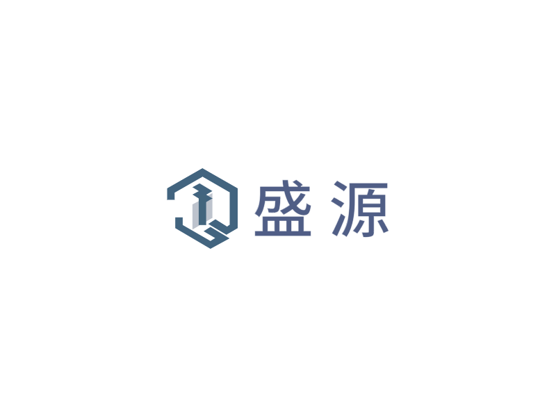 盛 源LOGO模板