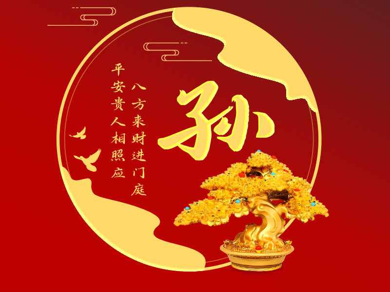 孙LOGO模板