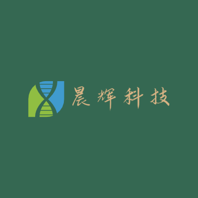 晨辉科技LOGO模板
