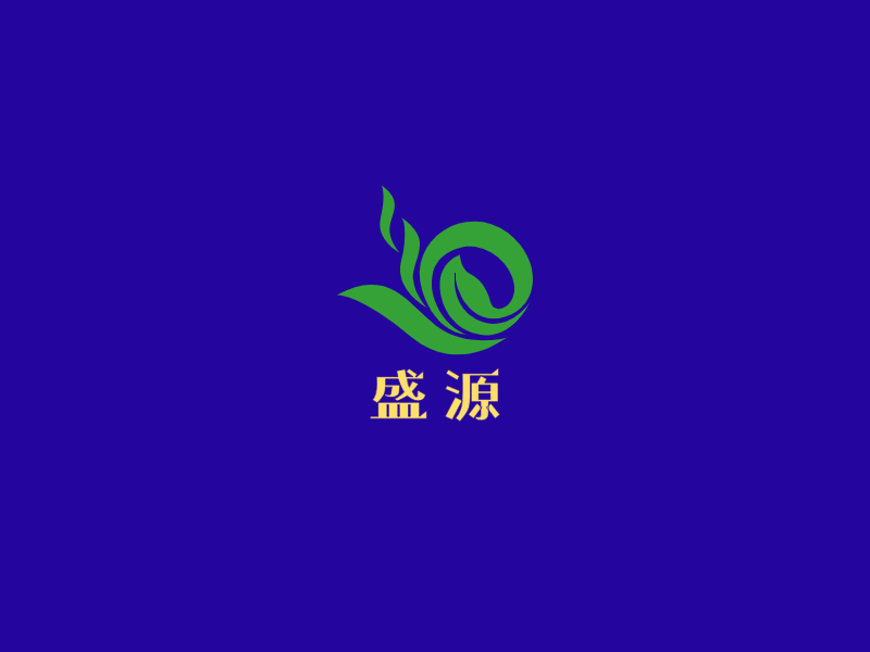 盛 源LOGO模板